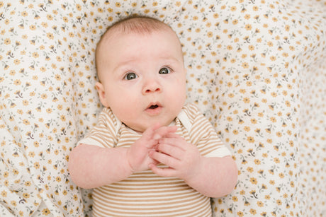 نقشة الزهور القديمة واليعسوب - طقم قماط قطني عدد 2