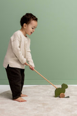 Wooden push along toy - Mr. Dino