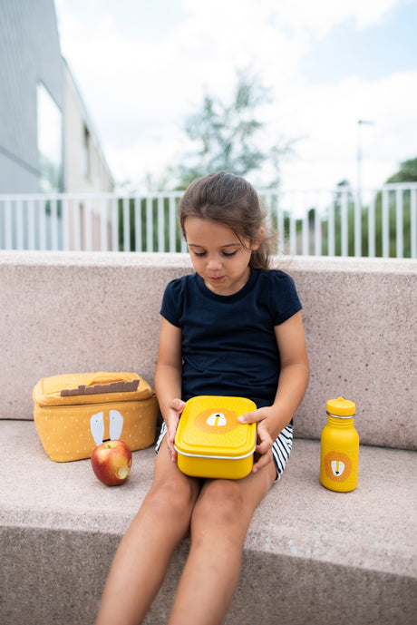 Lunch box small - Mr. Lion