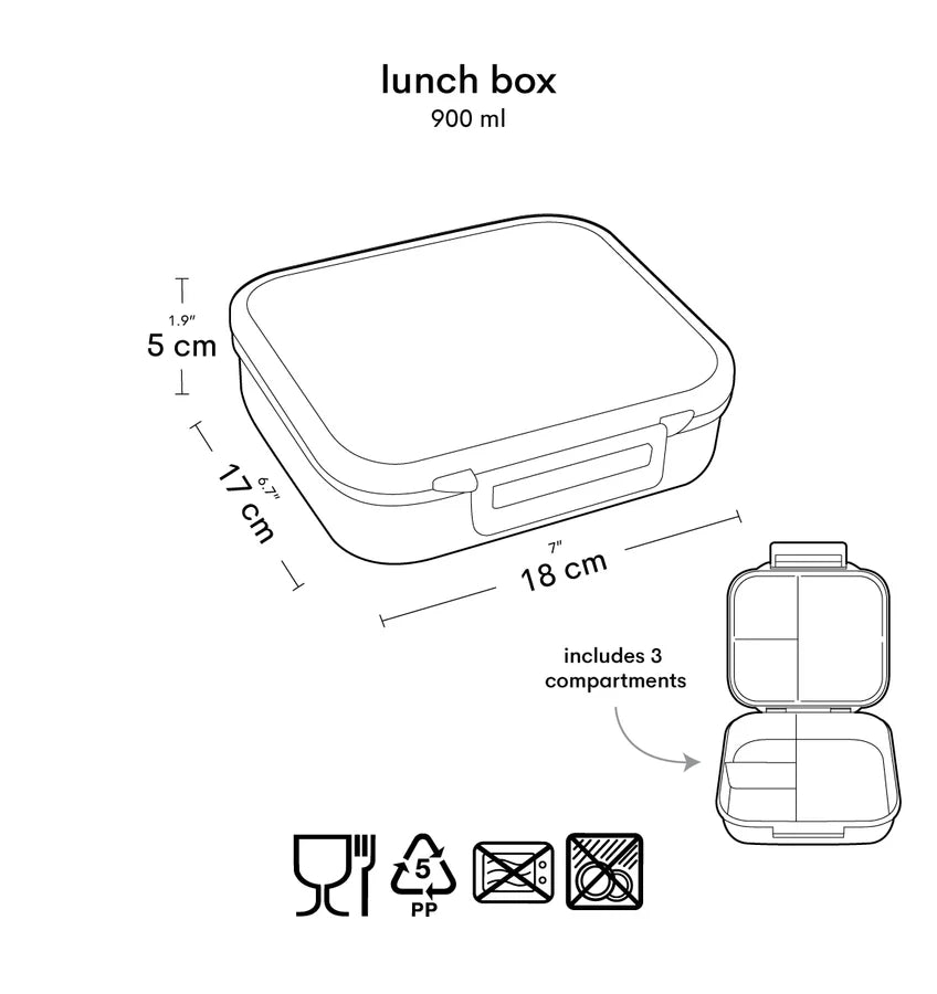 Square Lunch Box (3 compartments) - Dinosaur