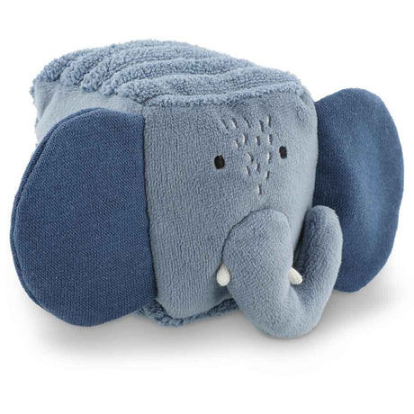 Sensory blocks - 4 animals