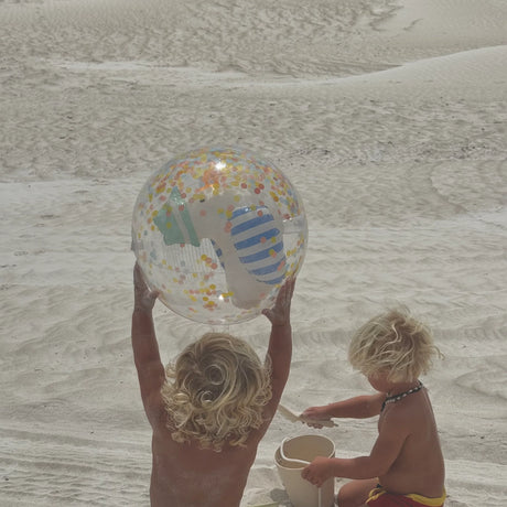 3D Inflatable Beach Ball Sid the Seagull Blue Stripe