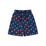 Boy's Swimshorts - Island Palms