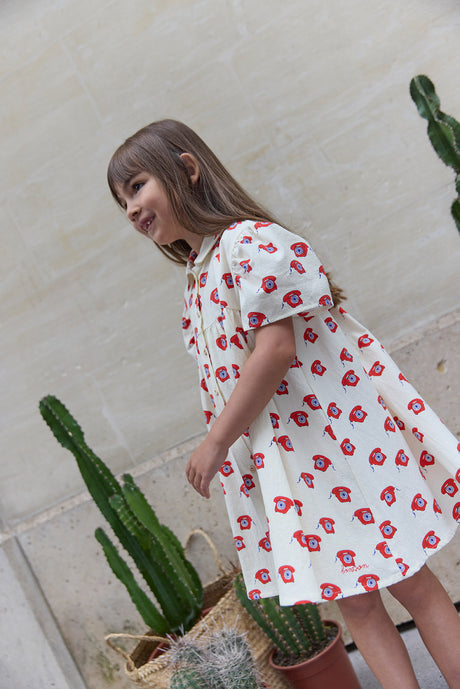 Dress - Lulu Phone