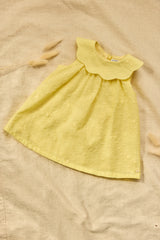 Dress - Citrus Cotton Peter Pan Collar