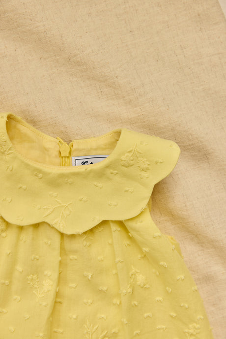 Dress - Citrus Cotton Peter Pan Collar