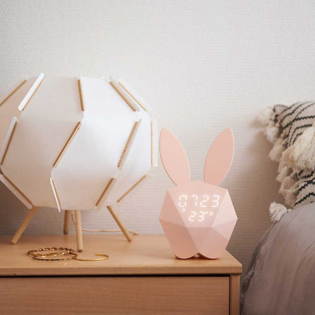 Ducky Light