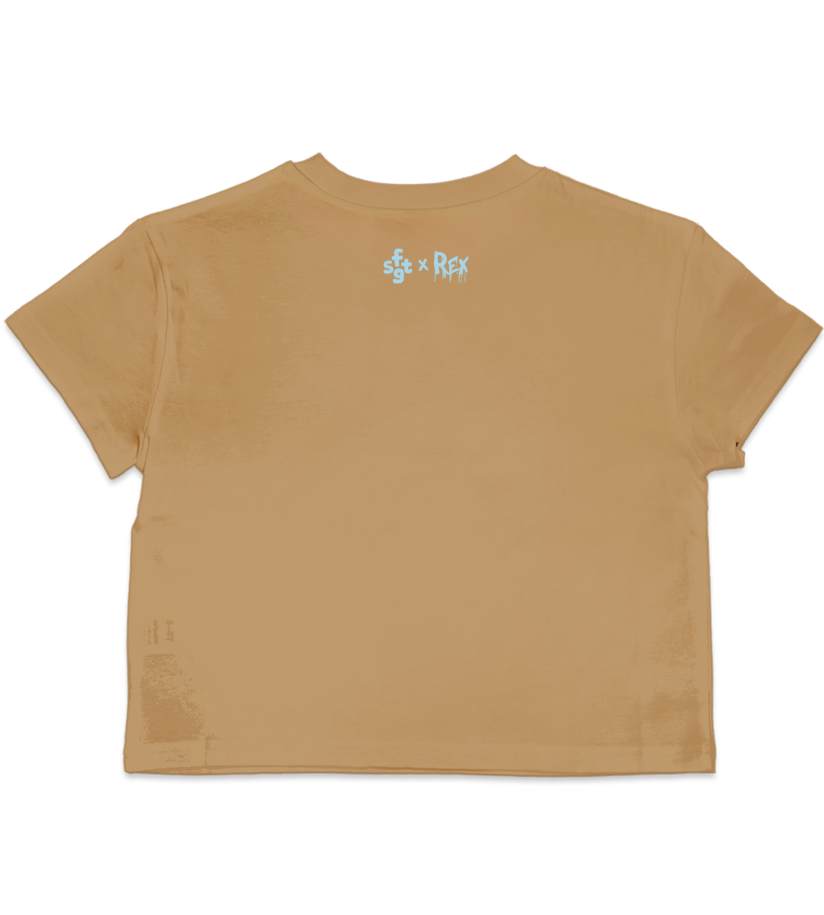 FSTG Tee -Dino