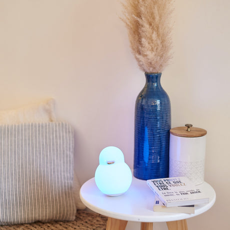 Ducky Light
