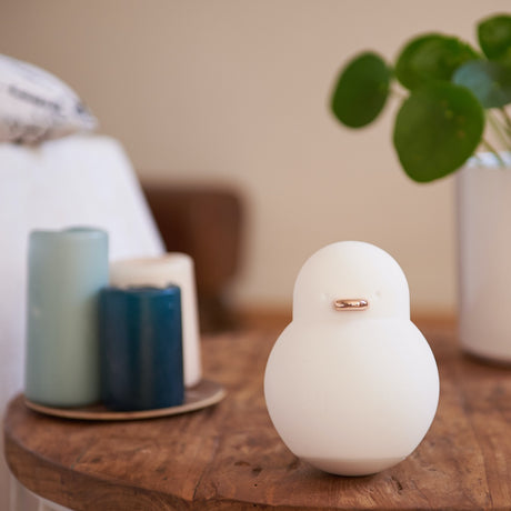 Ducky Light