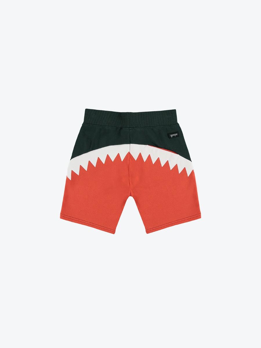 Shark Shorts